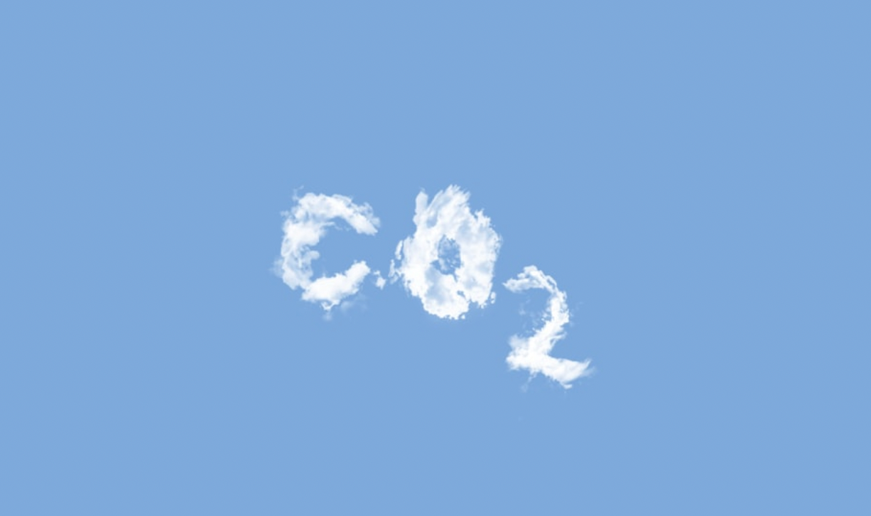 Does Your Skincare Come With a Carbon Receipt?